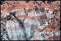 Erosion formations in Hells Hole. Grand Canyon-Parashant National Monument, Arizona, USA ( color)