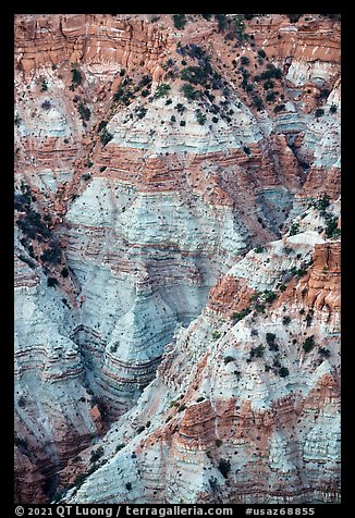 Colorful eroded rock in Hells Hole. Grand Canyon-Parashant National Monument, Arizona, USA (color)