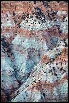 Colorful eroded rock in Hells Hole. Grand Canyon-Parashant National Monument, Arizona, USA ( color)