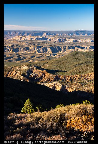 Mount Logan Wilderness with Mount Dellenbaugh in the distance. Grand Canyon-Parashant National Monument, Arizona, USA (color)