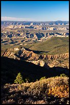 Mount Logan Wilderness with Mount Dellenbaugh in the distance. Grand Canyon-Parashant National Monument, Arizona, USA ( color)