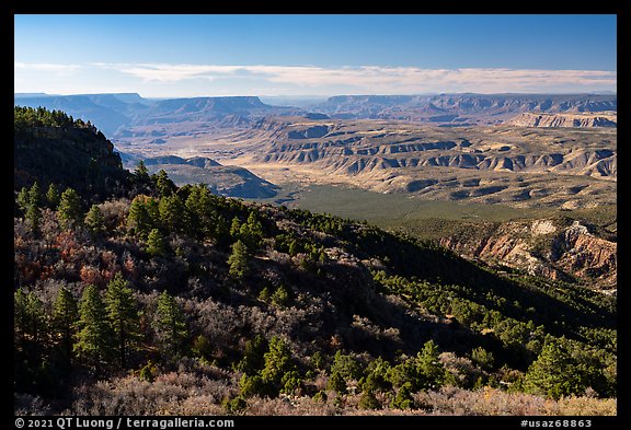 Mount Logan Wilderness and Grand Canyon. Grand Canyon-Parashant National Monument, Arizona, USA (color)