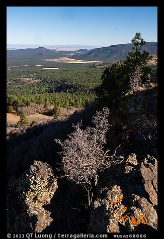 Potato Valley from Mt Logan. Grand Canyon-Parashant National Monument, Arizona, USA (color)