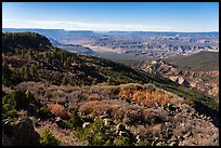 Mt Logan slopes, Grand Canyon, and Whitmore Canyon. Grand Canyon-Parashant National Monument, Arizona, USA ( color)