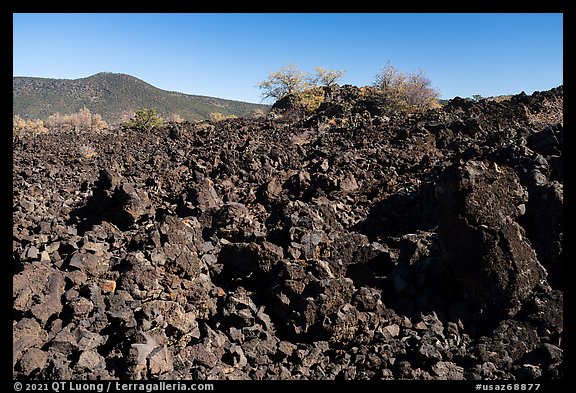 Lava flow near Mt Logan. Grand Canyon-Parashant National Monument, Arizona, USA (color)