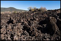 Lava flow near Mt Logan. Grand Canyon-Parashant National Monument, Arizona, USA ( color)