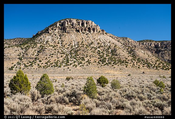 Sandstone cliffs, sage and juniper trees. Grand Canyon-Parashant National Monument, Arizona, USA (color)