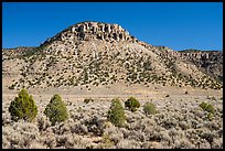 Sandstone cliffs, sage and juniper trees. Grand Canyon-Parashant National Monument, Arizona, USA ( color)