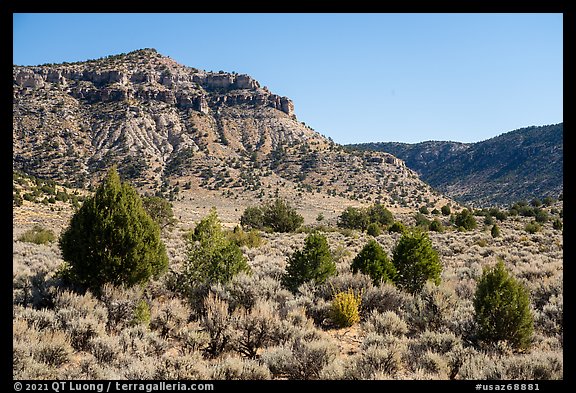 Torroweap Valley. Grand Canyon-Parashant National Monument, Arizona, USA (color)