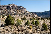 Torroweap Valley. Grand Canyon-Parashant National Monument, Arizona, USA ( color)