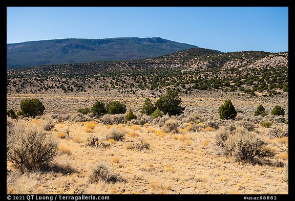 Torroweap Valley and Mount Trumbull. Grand Canyon-Parashant National Monument, Arizona, USA (color)