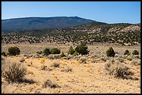 Torroweap Valley and Mount Trumbull. Grand Canyon-Parashant National Monument, Arizona, USA ( color)