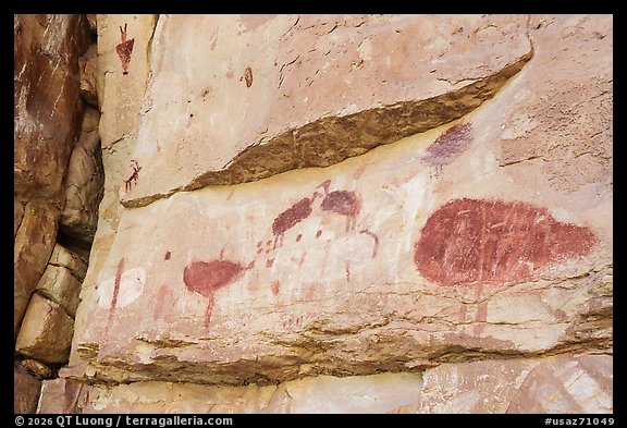Turkey Pictographs, Snake Gulch. Baaj Nwaavjo Itah Kukveni – Ancestral Footprints of the Grand Canyon National Monument, Arizona, USA (color)