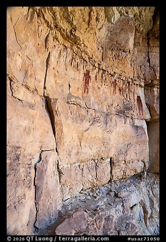 Large anthropomorphic pictographs above ledge, Snake Gulch. Baaj Nwaavjo Itah Kukveni – Ancestral Footprints of the Grand Canyon National Monument, Arizona, USA (color)
