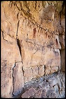 Large anthropomorphic pictographs above ledge, Snake Gulch. Baaj Nwaavjo Itah Kukveni – Ancestral Footprints of the Grand Canyon National Monument, Arizona, USA ( color)