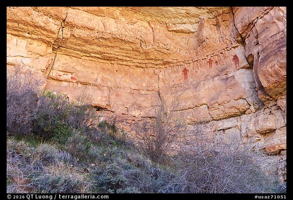 Turkey and anthropomorphic pictographs, Snake Gulch. Baaj Nwaavjo Itah Kukveni – Ancestral Footprints of the Grand Canyon National Monument, Arizona, USA (color)