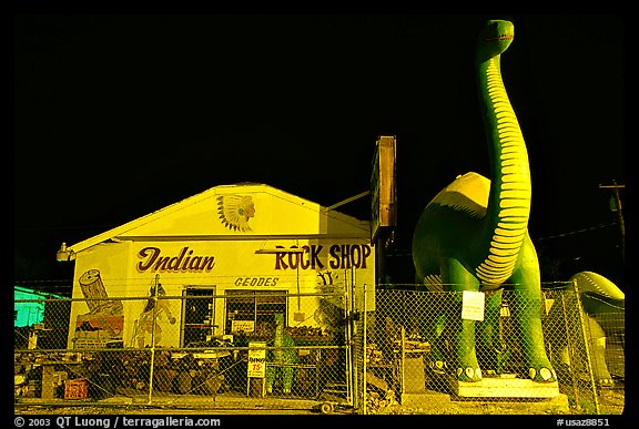 Dinosor and rock shop on route 66, Holbrook. Arizona, USA (color)