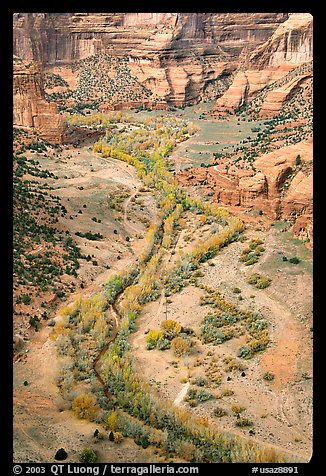 Canyon de Chelly seen from Spider Rock Overlook. Canyon de Chelly  National Monument, Arizona, USA