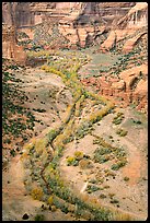 Canyon de Chelly seen from Spider Rock Overlook. Canyon de Chelly  National Monument, Arizona, USA (color)