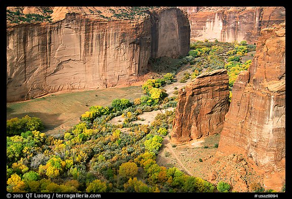 Canyon de Chelly seen from Spider Rock Overlook. Canyon de Chelly  National Monument, Arizona, USA (color)