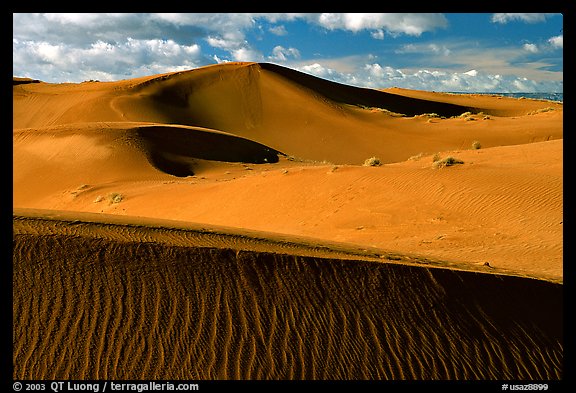 Pink Sand dunes, early morning. Canyon de Chelly  National Monument, Arizona, USA (color)