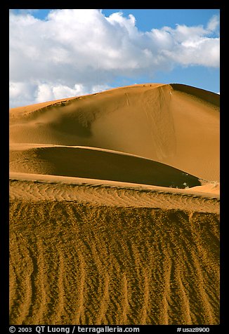 Sand dunes, early morning. Canyon de Chelly  National Monument, Arizona, USA (color)