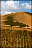 Sand dunes, early morning. Canyon de Chelly  National Monument, Arizona, USA (color)