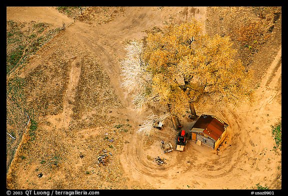 Cotton wood tree and hut. Canyon de Chelly  National Monument, Arizona, USA (color)