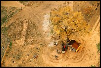 Cotton wood tree and hut. Canyon de Chelly  National Monument, Arizona, USA (color)