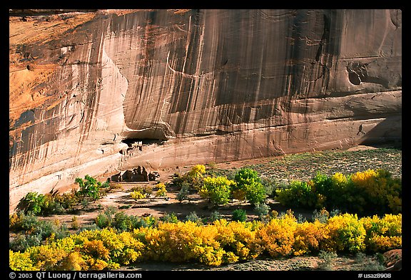 White House Anasazi ruins and wall with desert varnish. Canyon de Chelly  National Monument, Arizona, USA (color)