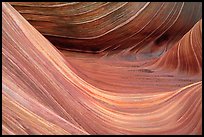 Sandstone striations in the Wave. Coyote Buttes, Vermilion cliffs National Monument, Arizona, USA ( color)