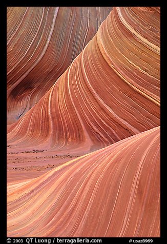 Ondulating rock formation, the Wave. Coyote Buttes, Vermilion cliffs National Monument, Arizona, USA (color)