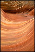 Ondulating sandstone stripes, The Wave. Coyote Buttes, Vermilion cliffs National Monument, Arizona, USA (color)