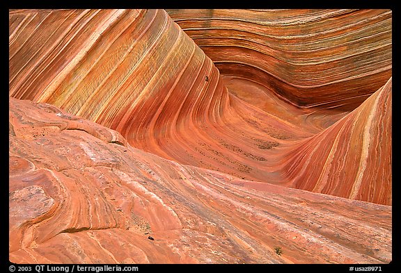 The Wave, main formation, seen from the top. Coyote Buttes, Vermilion cliffs National Monument, Arizona, USA