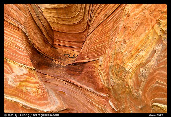The Wave, side passage. Vermilion Cliffs National Monument, Arizona, USA (color)