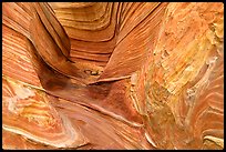 The Wave, side formation. Coyote Buttes, Vermilion cliffs National Monument, Arizona, USA (color)