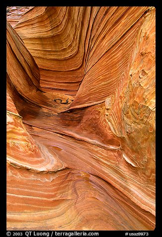 The Wave, side formation. Coyote Buttes, Vermilion cliffs National Monument, Arizona, USA (color)