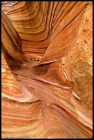 The Wave, side formation. Coyote Buttes, Vermilion cliffs National Monument, Arizona, USA (color)