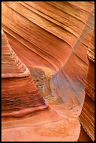 The Wave, side formation. Coyote Buttes, Vermilion cliffs National Monument, Arizona, USA ( color)