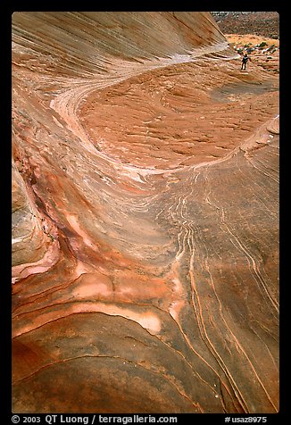 Hiker on rock on the way to the Wave. Coyote Buttes, Vermilion cliffs National Monument, Arizona, USA (color)