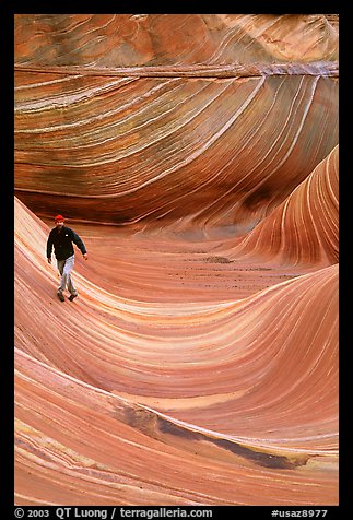 Hiker balances himself in the Wave. Vermilion Cliffs National Monument, Arizona, USA