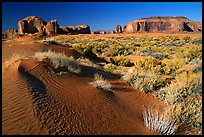 Sand dune and mesas, late afternoon. Monument Valley Tribal Park, Navajo Nation, Arizona and Utah, USA (color)