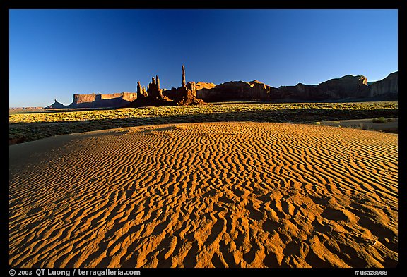 Sand dunes, Yei bi Chei, and Totem Pole, late afternoon. Monument Valley Tribal Park, Navajo Nation, Arizona and Utah, USA (color)