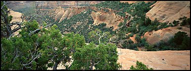 Mesa landscape. Colorado National Monument, Colorado, USA (Panoramic color)