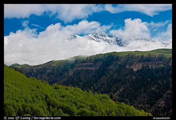 Snowy Mt Wilson emerging from clouds in the spring. Colorado, USA (color)