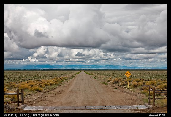 Cattle guard and straight dirt road. Colorado, USA