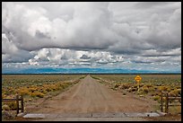 Cattle guard and straight dirt road. Colorado, USA (color)