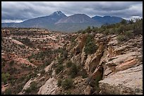 Sand Canyon. Canyon of the Ancients National Monument, Colorado, USA ( color)