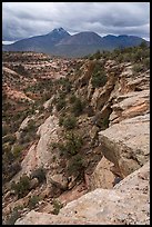 Sand Canyon and Sleeping Ute Mountain. Canyon of the Ancients National Monument, Colorado, USA ( color)