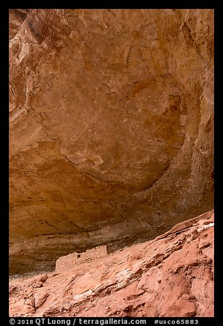Cliff dwelling under Entrada Sandstone alcove roof. Canyon of the Anciens National Monument, Colorado, USA (color)